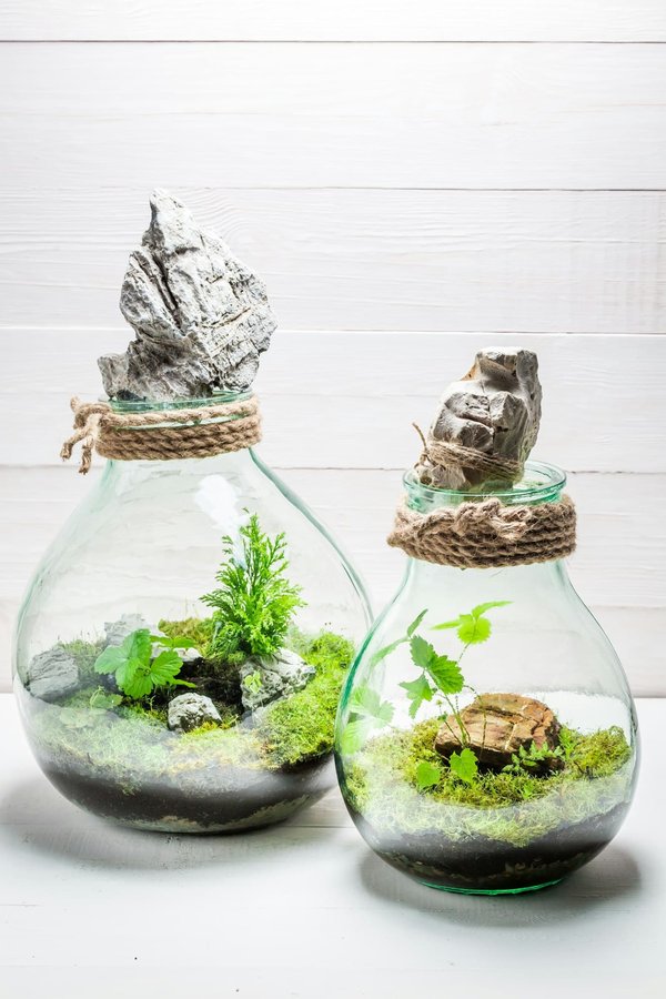 Quelles sont les meilleures pratiques pour une carrière réussie en gestion des écosystèmes côtiers ?